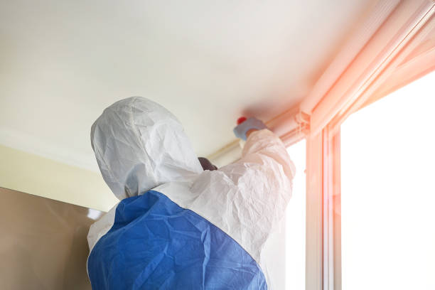 Best Commercial Mold Inspection in Daly City, CA